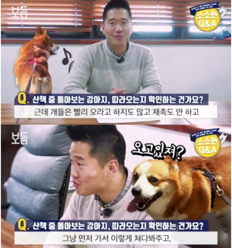 산책 중 돌아보는 강아지,따라오는지 확인하는 건가요? | 인스티즈