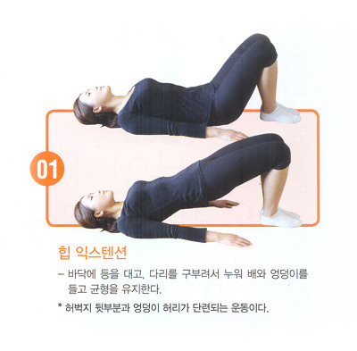 우리몸에서 제일 중요한 코어 운동법.jpg | 인스티즈
