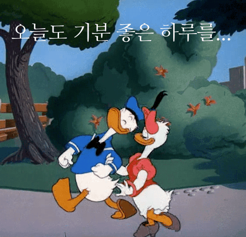 이삐다방 이미지