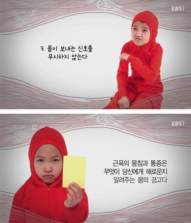 우리의 근육이 바쁜 이유 | 인스티즈