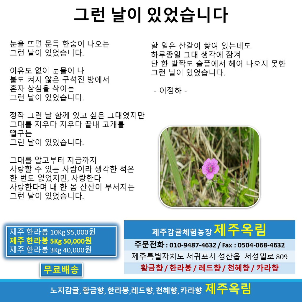 옥림 이미지