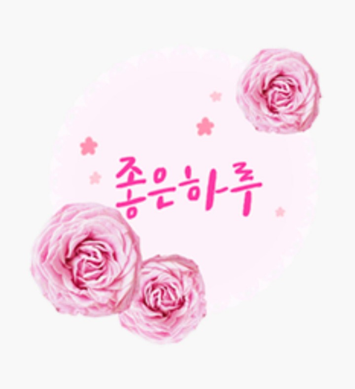 무제 이미지
