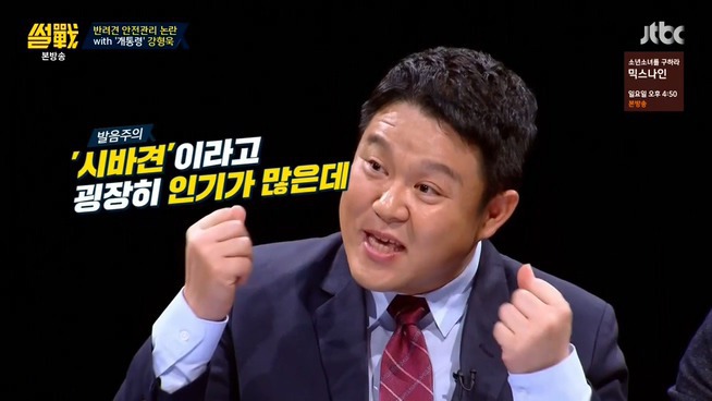 [썰전] 시바견 | 인스티즈