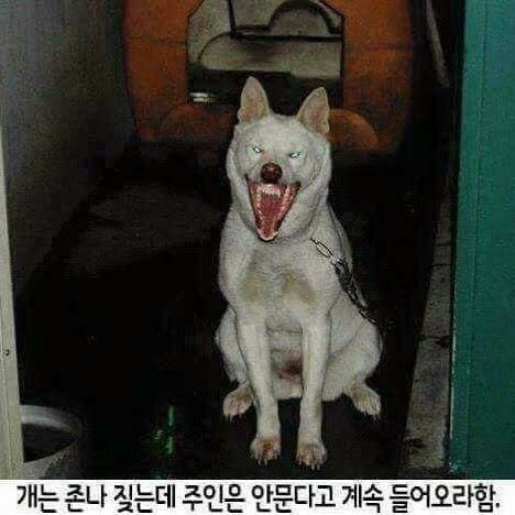 공감 이미지