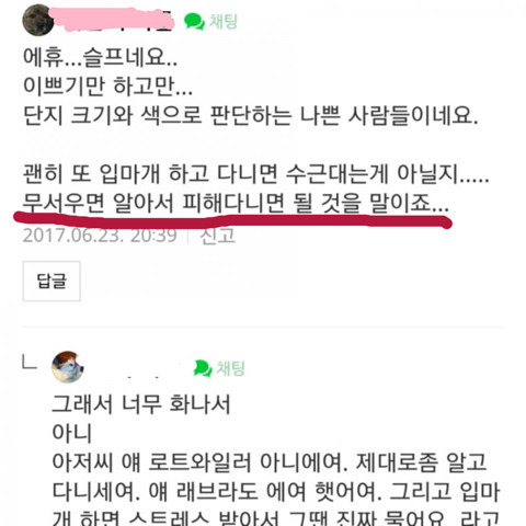 개 입마개 하고 다니시라는 분들 | 인스티즈