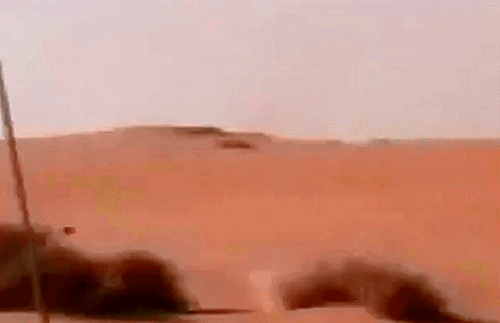 드리프트 고인물 사막토끼.gif | 인스티즈