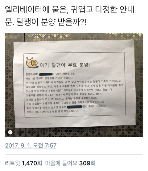 귀엽고 다정한 달팽이 분양 안내문 | 인스티즈