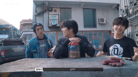 망원동 고양이 밥을 책임지고 있는 아이돌 | 인스티즈