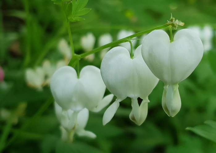 99849C3E5CD8BF340EC1DA