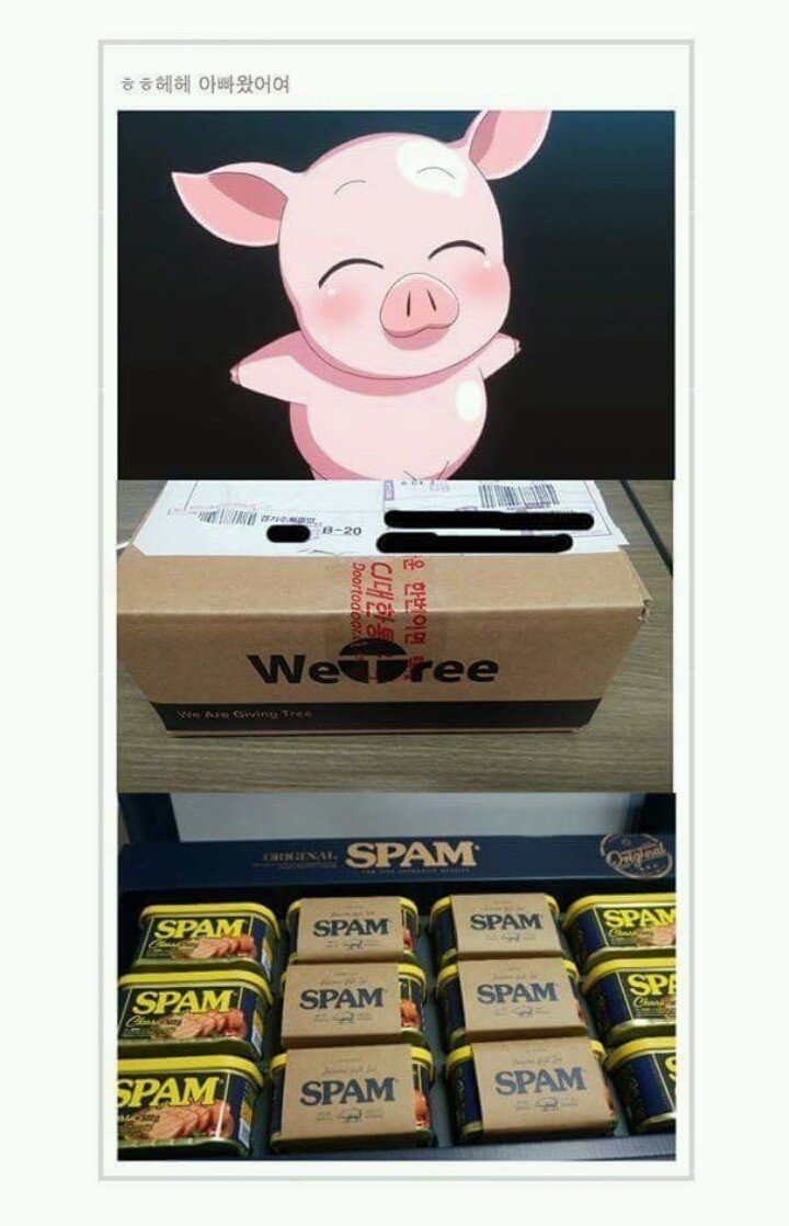 감동적인 사연을 적으면 스팸 5박스를 드립니다.jpg | 인스티즈