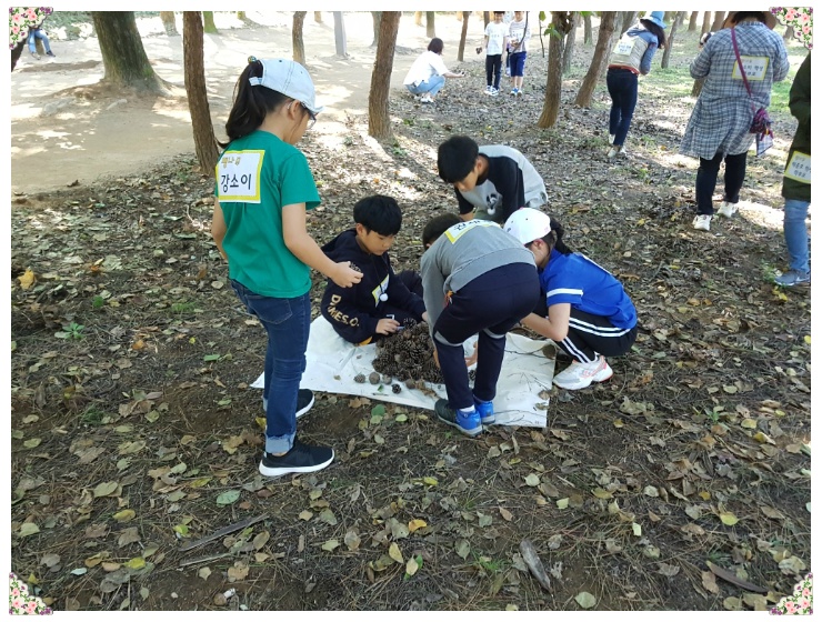 용산초등학교 이미지