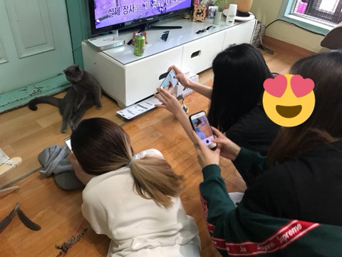 고양이있는 집에 친구들이 놀러오면.jyp | 인스티즈
