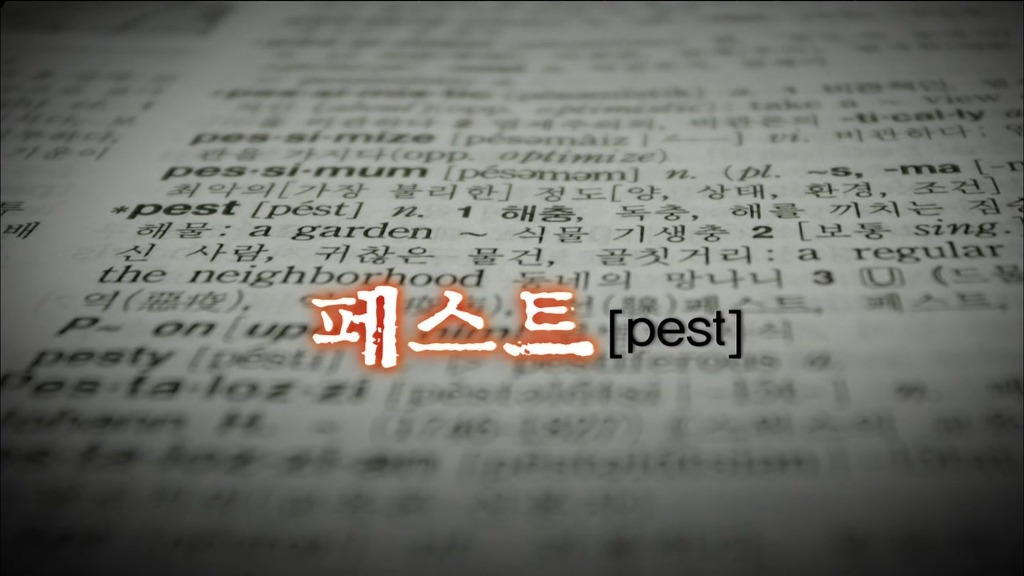 호주의 토끼전쟁 | 인스티즈