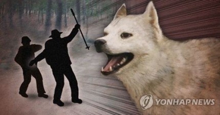친구와 공원서 놀던 8세 여아 목줄 풀린 개에 정강이 물려 | 인스티즈