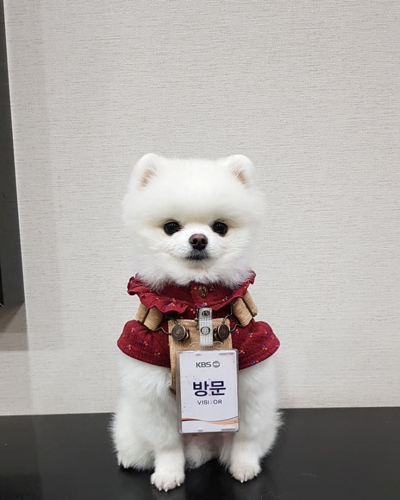 봉구 이미지