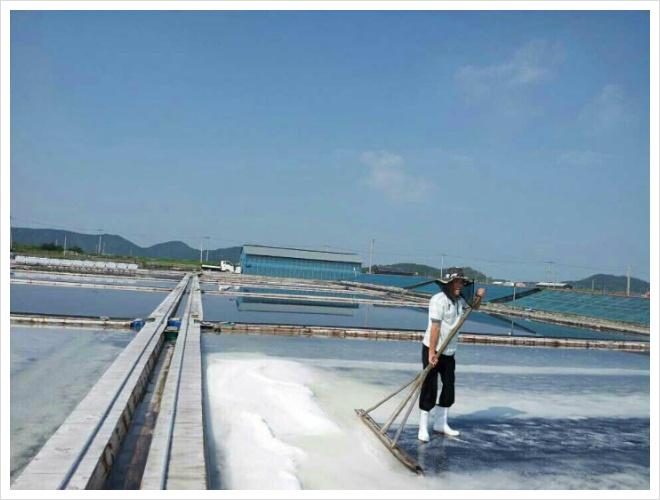 (주)햇빛 이미지