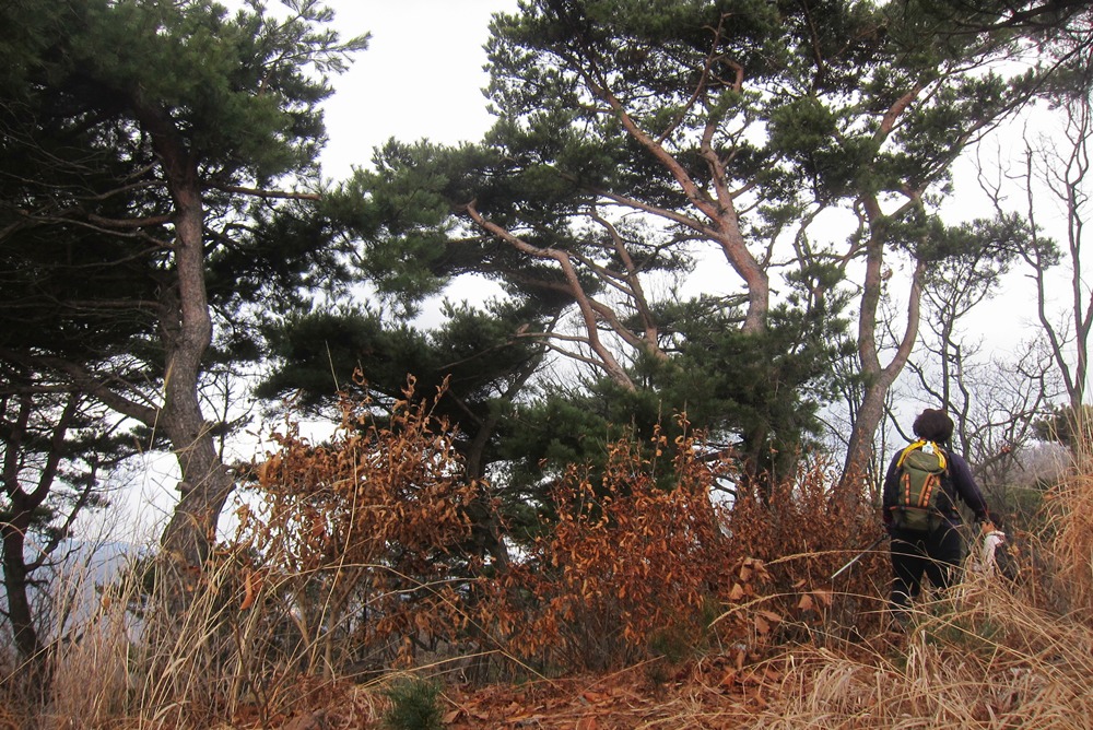 전반전후반전 이미지