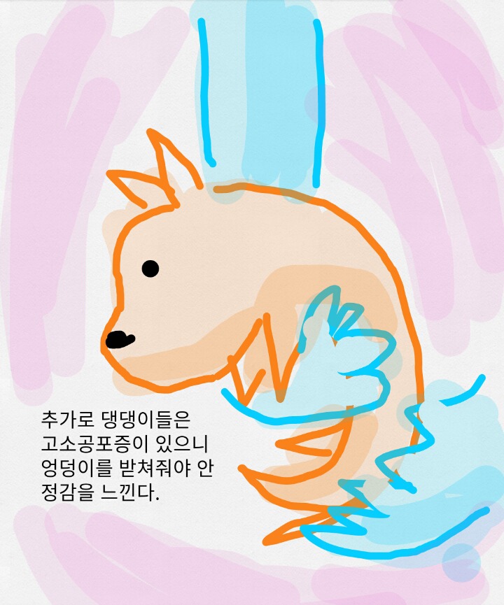 보노보노가 알려주는 댕댕이를 안아주는 방법 | 인스티즈