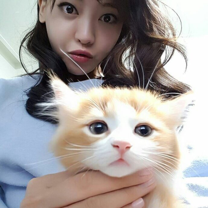 인터넷에서 겁나 유명한 이 고양이의 정체.....jpg | 인스티즈