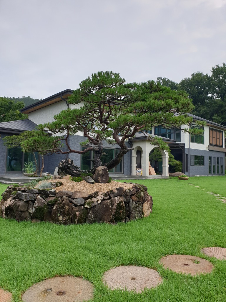 태경조경 이미지
