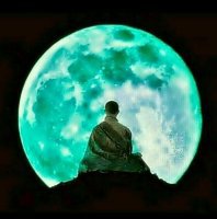 이**-13 이미지