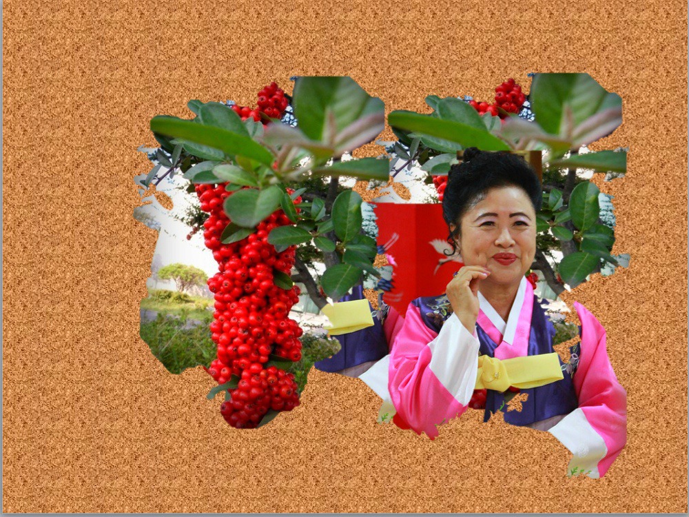 학우사 이미지