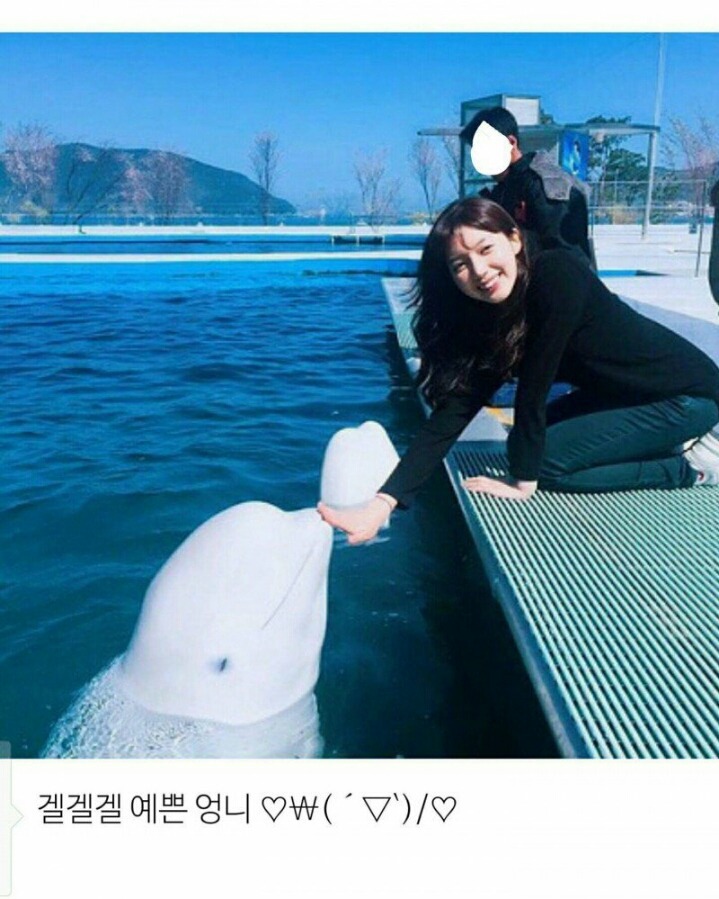 당신의 밤을 책임질 팬아저 모음.gif | 인스티즈