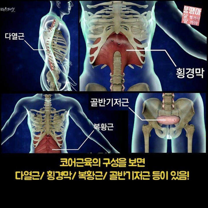 우리몸에서 제일 중요한 코어 운동법.jpg | 인스티즈
