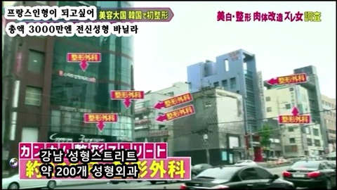 프랑스 인형이 되고싶어 총액 3000만엔 전신성형한 바닐라 | 인스티즈