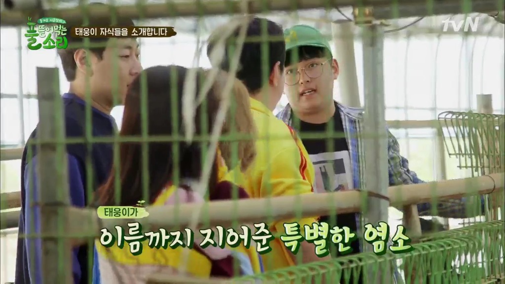 [풀뜯어먹는소리] 닭에서 시작해 소까지 살 수 있게 된 중딩농부 태웅.jpg | 인스티즈