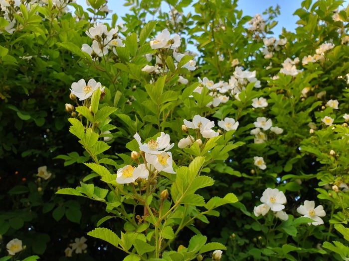 99AAAB355CDE1F5D2B47D3