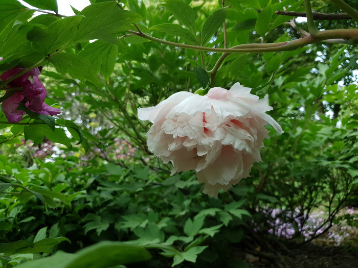 99ABA5355CD8BE3307BF55