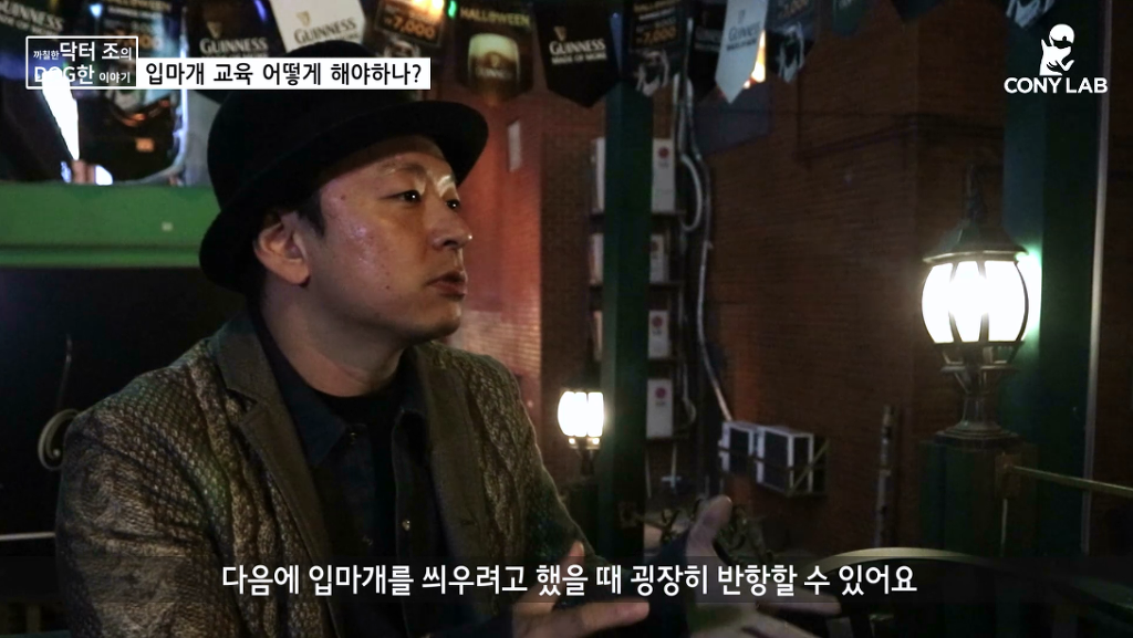 [영상] 강아지에게 거부감 안들게 입마개 교육하는 법! | 인스티즈