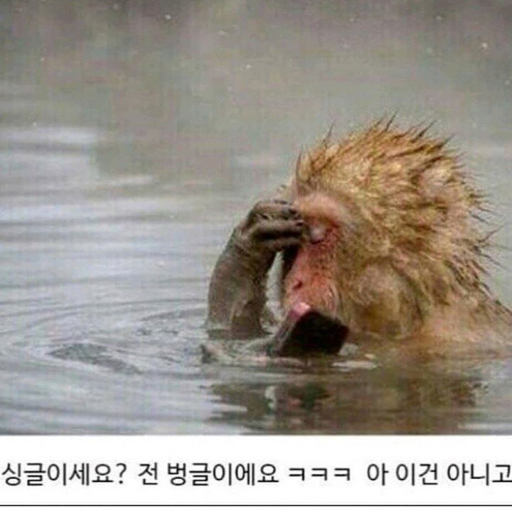 모쏠이 좋아하는 여자에게 카톡 보낼때 | 인스티즈