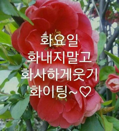 화요일 이미지