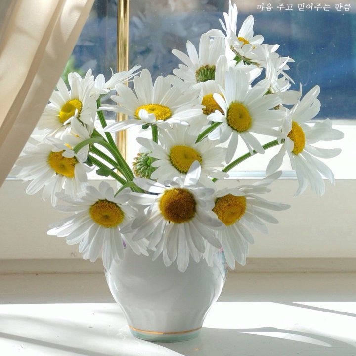 당신은참예쁜꽃 이미지