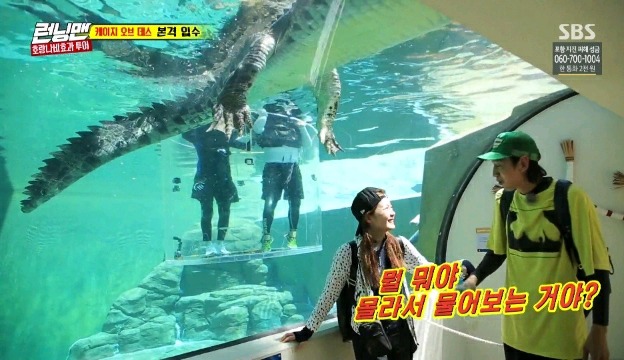 악어가 실례하는 장면을 목격한 전소민&이광수 | 인스티즈