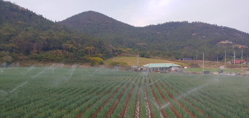 암태민박식당 이미지