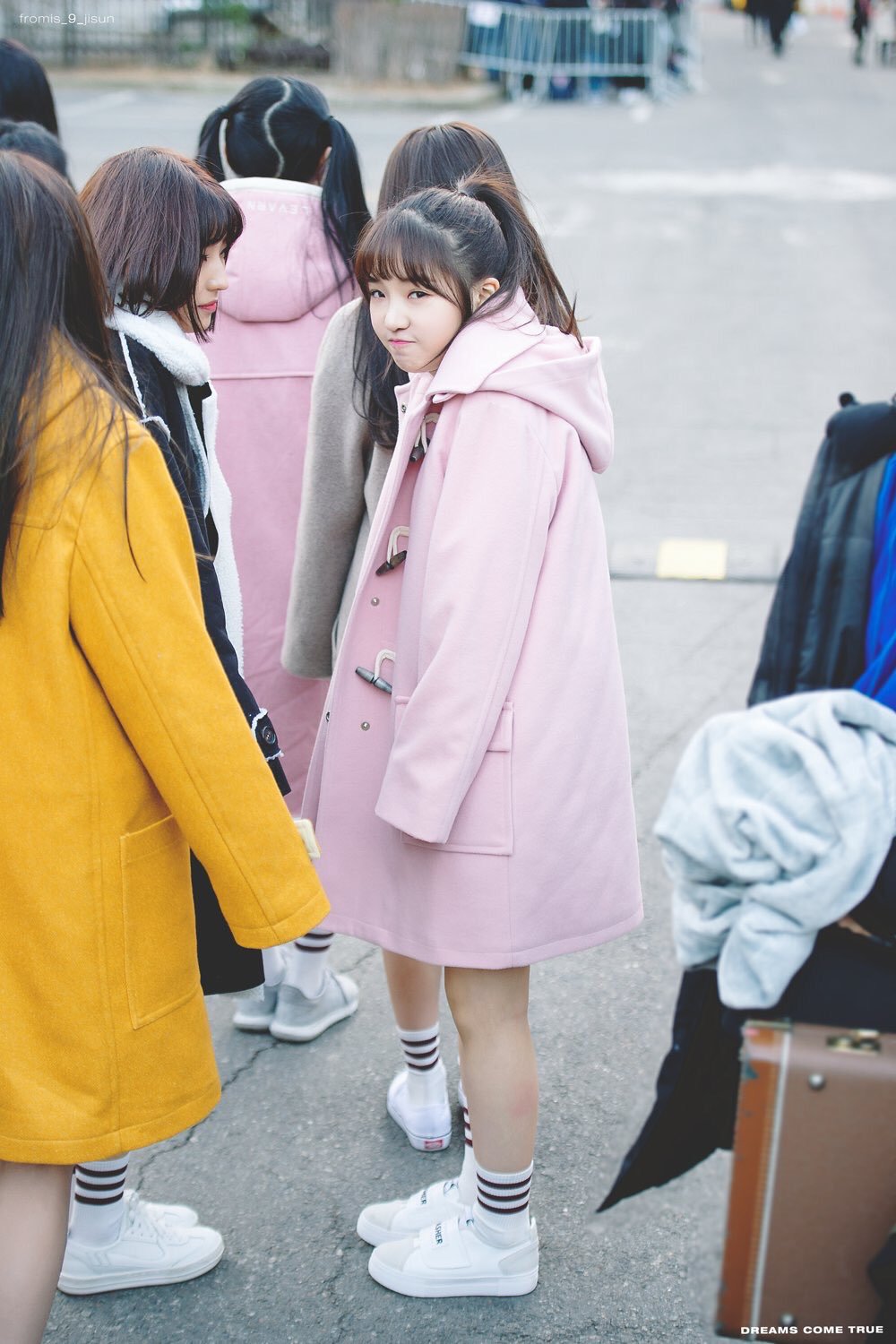 주인보다 먼저 유명세를 탄 고양이 | 인스티즈