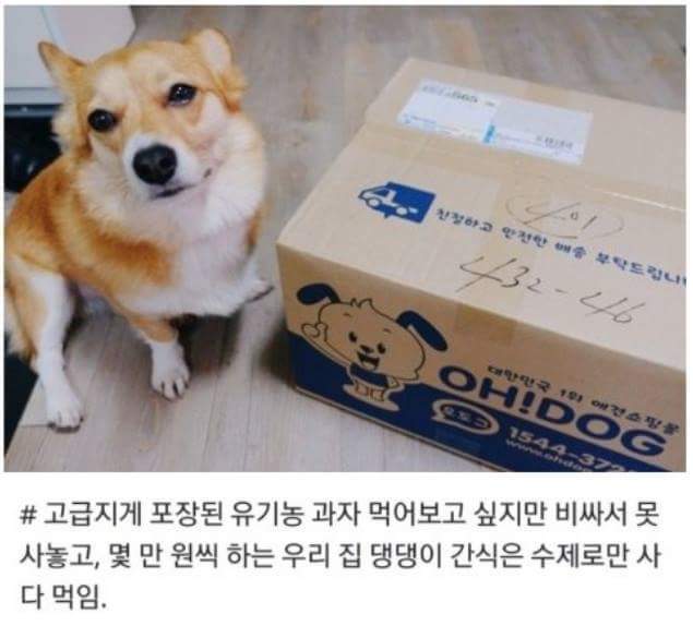 공감 이미지