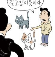 장도리에 등장하는 고양이 | 인스티즈