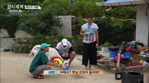 [삼시세끼] 처음 본 잭슨 때문에 놀라서 귱집사 팔 꼬옥 붙드는 고양이 쿵이.gif | 인스티즈