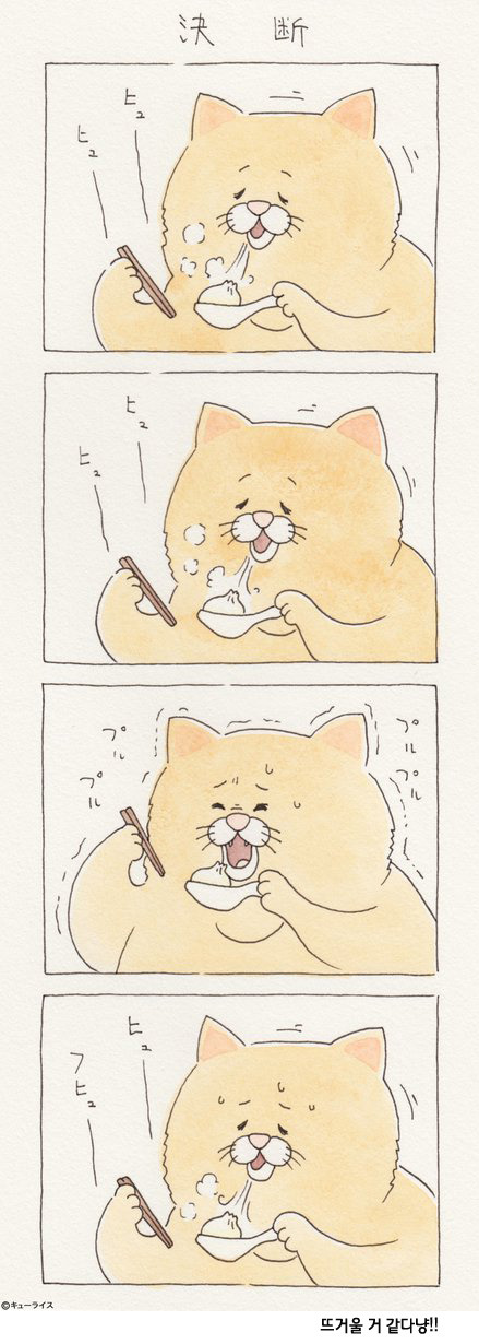 유감스러운 고양이 -3- | 인스티즈