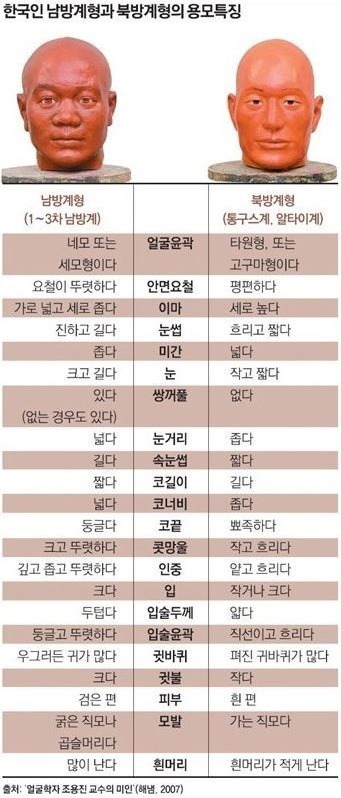 한국인 얼굴 특징 두가지.jpg | 인스티즈