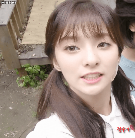 오늘자 프로미스 나인 V앱 소소한 다이어리#15 이나경&이새롬.GIF | 인스티즈