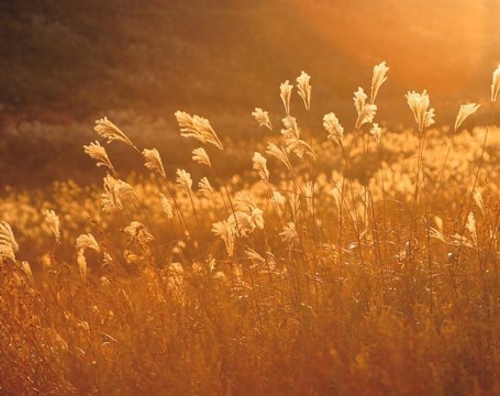 실종 고준희양 친부 자백..산에 유기했다..jpg | 인스티즈
