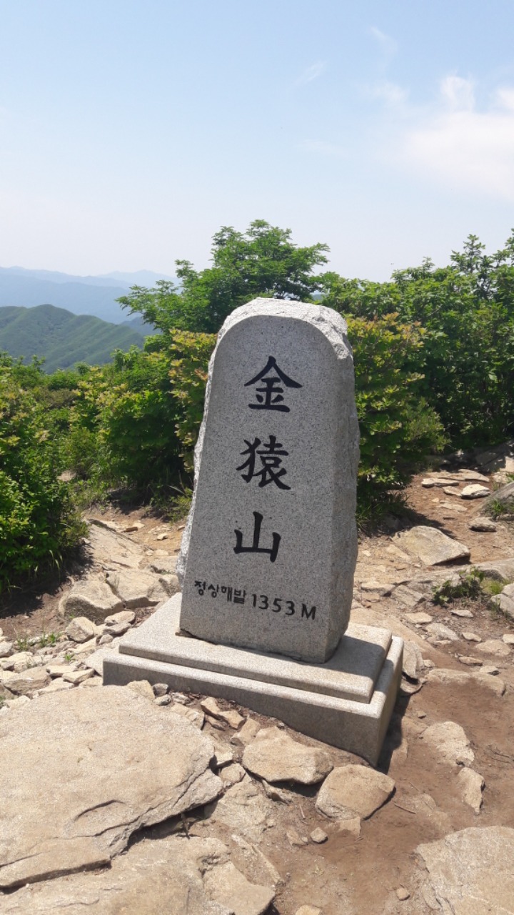 지그린 이미지