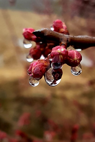 99D691435C974B9F2208D5