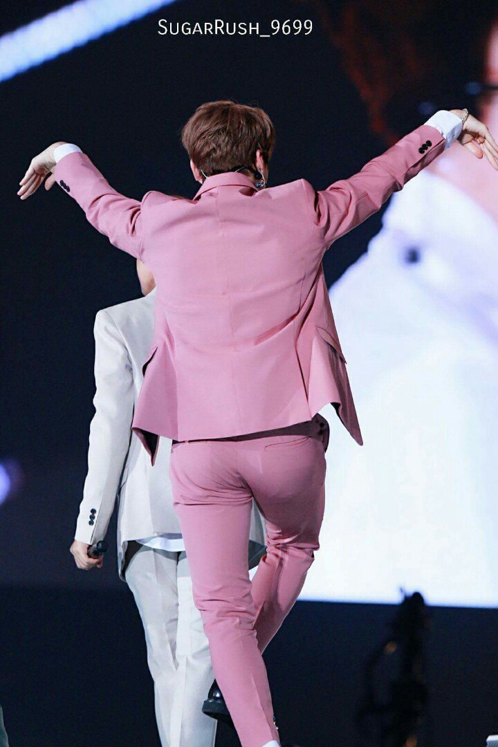 브이녹스 이미지