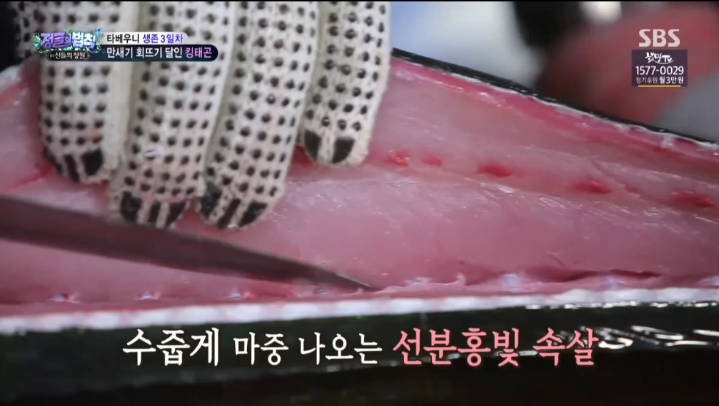 오늘자 정글의법칙 이태곤 회뜨기 클라스 | 인스티즈